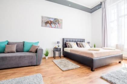 Real Apartments Zichy - image 11