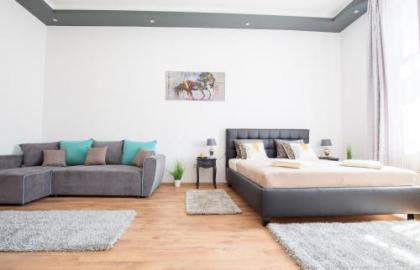 Real Apartments Zichy - image 9