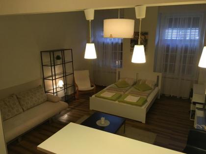 Arany Janos Apartman - image 11