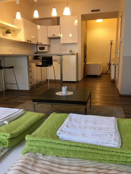 Arany Janos Apartman - image 12