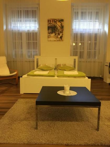 Arany Janos Apartman - image 14