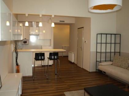 Arany Janos Apartman - image 9