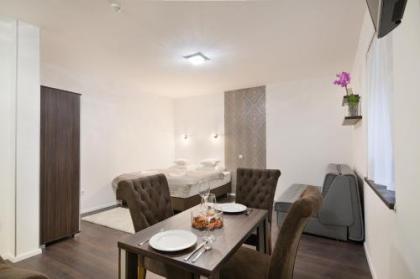 Paulay Downtown Apartments - image 1