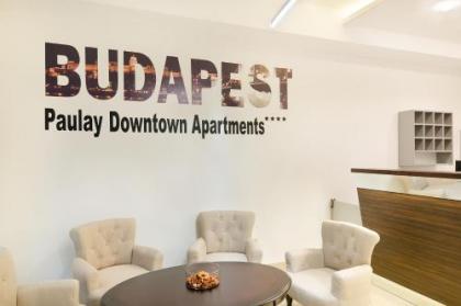 Paulay Downtown Apartments - image 20