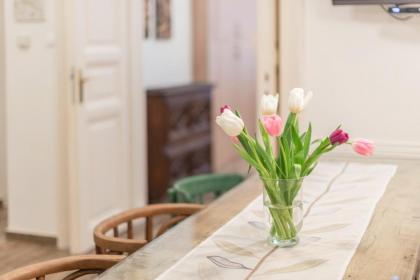 Family and Friends apartment Budapest - image 5