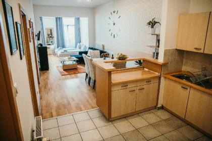 Elite One Bedroom Apartments  - image 9