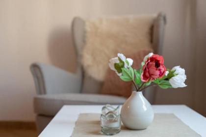 Convenient apartment in the heart of downtown - image 18