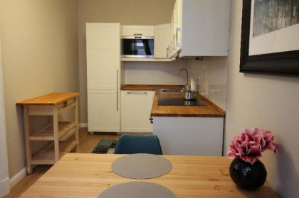 Polar Light Apartment - image 6