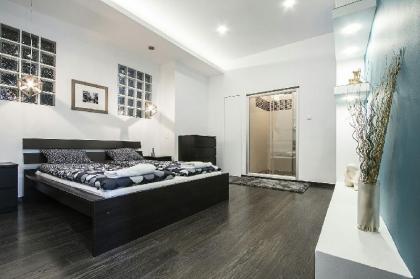 Pedestrian apartment the best location - image 3