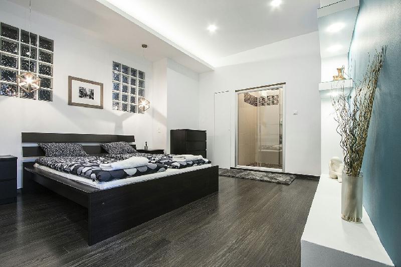 Pedestrian apartment the best location - image 3