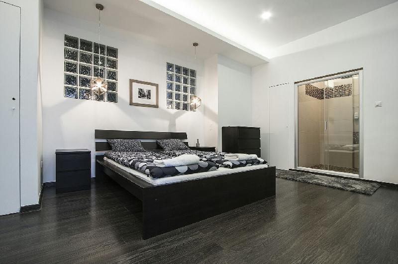 Pedestrian apartment the best location - image 6